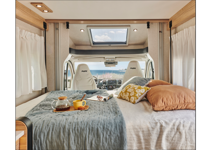 Pilote P690D Expression